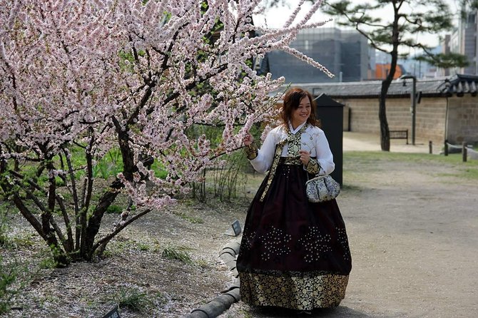 Private day tour Korea(Seoul trip) with Professional Photographer - What you actually get from the free photograph