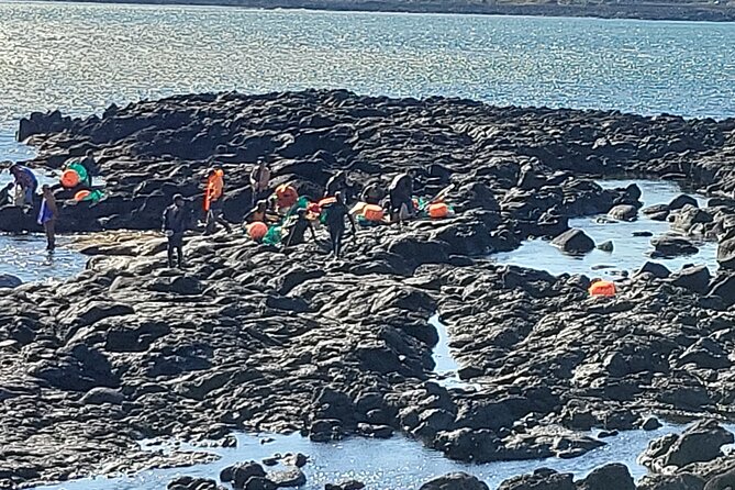 Private Day Tour With Best Jumbo Taxi Driver Tour in jeju island - Price and value: what $180 per person buys you
