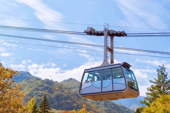 [Private] DMZ & Imjingak Peace Gondola Experience Inter-Korean War - The DMZ morning feeling: close-up border reality