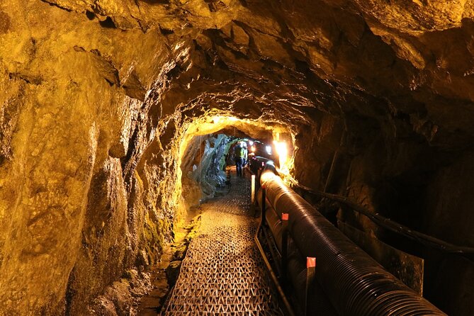 Private DMZ Tour (No Shopping): 3rd Tunnel & Suspension Bridge - Imjingak Park area: Bridge of Freedom, Mangbaedan, and that steam locomotive moment