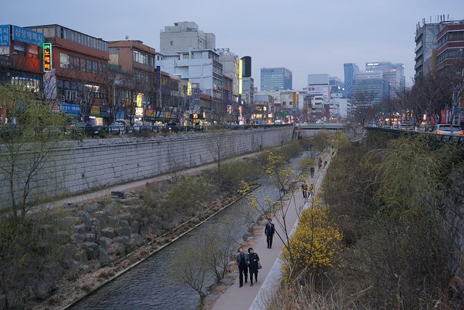 Private English Speaking Driver in Seoul: Airport Service Available - Who should book this private driver, and who should skip it