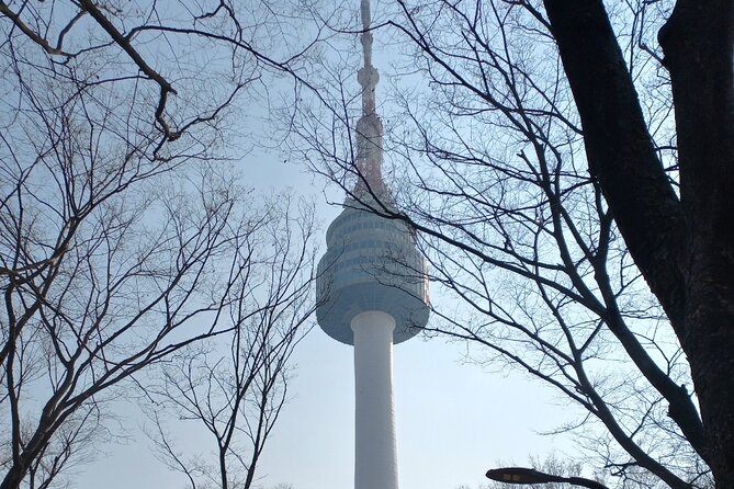 Private Full Day Seoul City Tour and N Tower Cable Car - How the guides add real value, names you may see