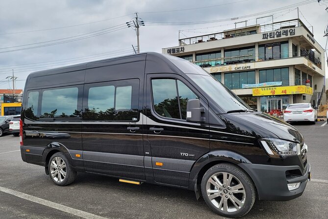 Private Half Day South and West Tour in Jeju Island - Pickup, pacing, and why the driver matters more than you think
