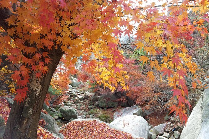 Private Hiking to Bukhansan & Korean Style Spa(Include Lunch) - What to Pack and How to Prepare (So the Day Stays Fun)