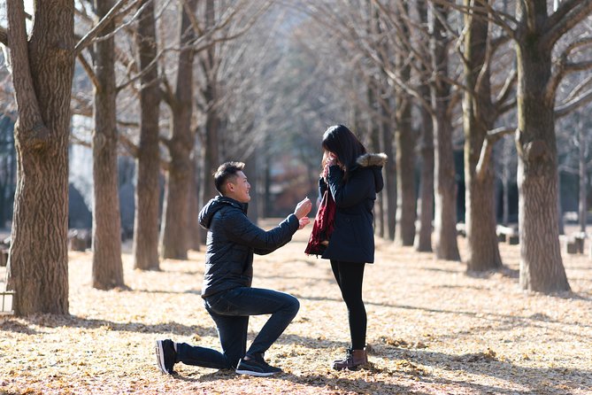 Private Nami Island Photo Shoot and Tour with a Photographer - Nami Island looks great, but your photos need help