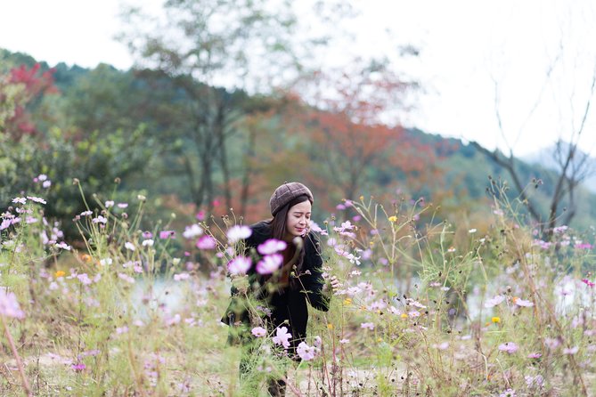 Private Nami Island Photo Shoot and Tour with a Photographer - Price and logistics: where the value actually comes from