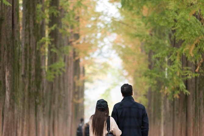 Private Nami Island Photo Shoot and Tour with a Photographer - Your photographer guide: more than pointing and shooting