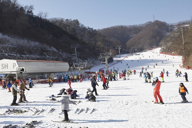 Private Ski Tour(Lesson) near Seoul at Elysian Gangchon Resort - Key Things That Make This Ski Tour Worth Your Time