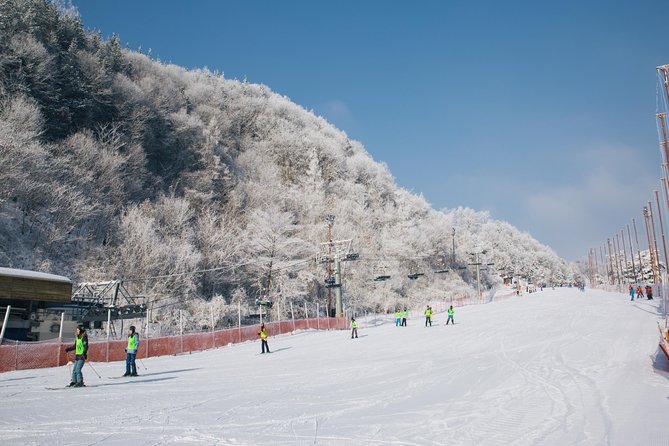 Private Ski Tour(Lesson) near Seoul at Elysian Gangchon Resort - What You Actually Get: A 2-Hour Ski Lesson That Feels Personal