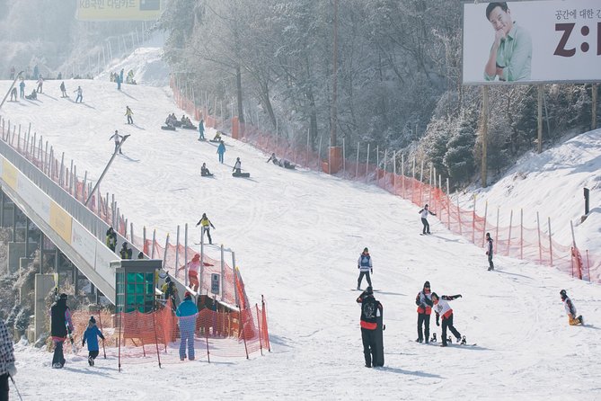 Private Ski Tour(Lesson) near Seoul at Elysian Gangchon Resort - How Small-Group Coaching Helps You Progress Faster