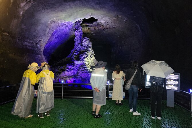 Private Tour in South and East in jeju island - Should You Book This Private South and East Jeju Tour?