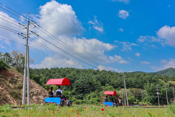 (Private tour) Nami Island + Railbike + Garden of morning calm - Morning Starts in Seoul: Pickup, Timing, and How to Think About the Day