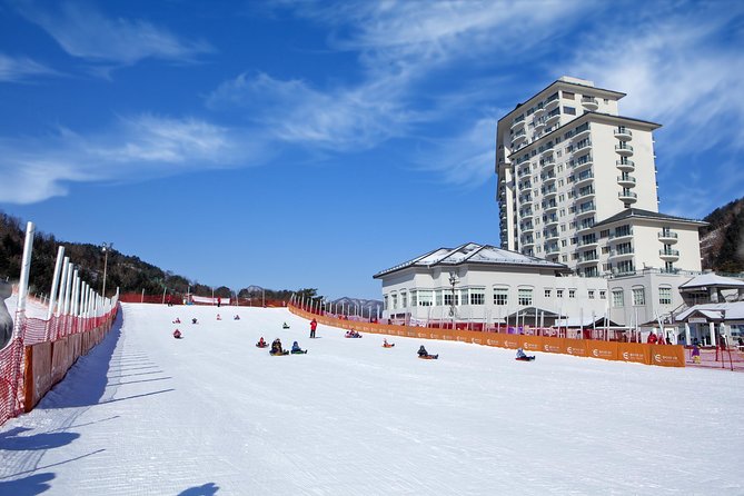[Private Tour] Nami Island & Snow Viewing and Snow sled (More Members Less Cost) - Elysian Gangchon: Snow Viewing and Snow Sled for Real Action