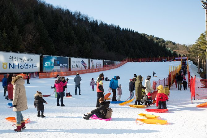 [Private Tour] Nami Island & Snow Viewing and Snow sled (More Members Less Cost) - Timing and Travel: How to Use an 8 to 9 Hour Day Wisely