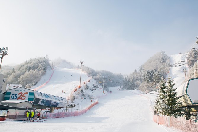 [Private Tour] Nami Island & Snow Viewing and Snow sled (More Members Less Cost) - What’s Included, What Isn’t, and Why It Affects Value
