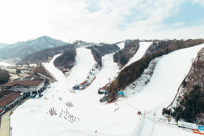 [Private Tour] Nami Island & Snow Viewing and Snow sled (More Members Less Cost) - Who This Tour Fits Best (And Who Might Prefer Something Else)