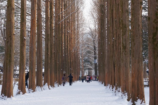 [Private Tour] Nami Island & Snow Viewing and Snow sled (More Members Less Cost) - Packing Checklist for Real Winter Comfort