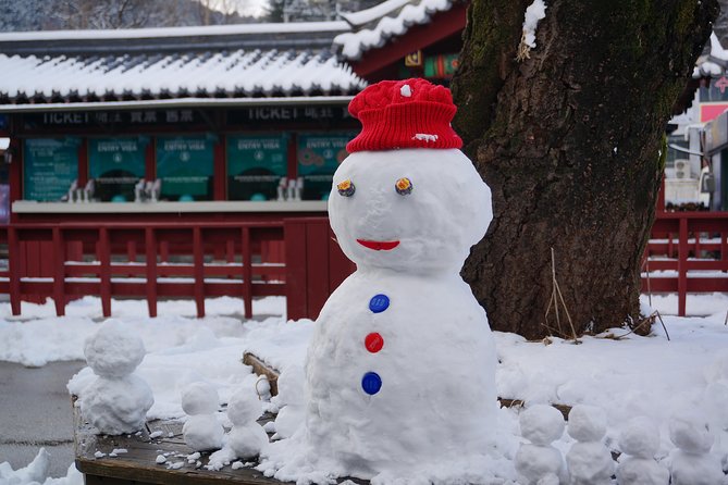 Private Tour Nami Island with Petite France 'and/or' The Garden of Morning Calm - How the private Seoul day trip really runs