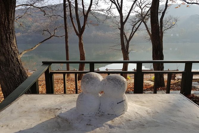 Private Tour Nami Island with Petite France 'and/or' The Garden of Morning Calm - Your guide: where the day becomes more than just stops