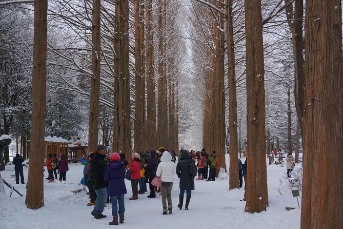 Private Tour Nami Island with Petite France 'and/or' The Garden of Morning Calm - Petite France: the French-fantasy village made Korean-TV famous