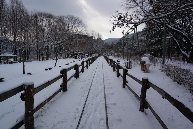 Private Tour Rail Bike & Nami Island & (Petite France or Garden of Morning Calm) - Who This Tour Suits Best (And Who Might Prefer Something Else)