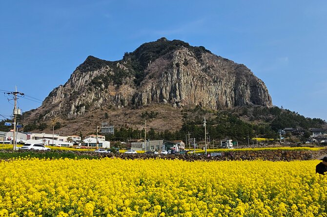 Private Tour South and West Jeju Island with Experienced Driver - Seogwipo Maeil Olle Market: eat like you are living on Jeju