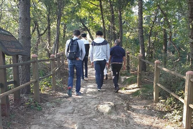 Private Tour: Talk show with N.K. Defector and Short Hiking - Odusan Unification Tower: farmland views plus modern history exhibits