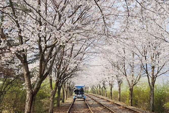 Private Tour to Alpaca world &Nami Island& Railbike with Tickets - Gangchon Rail Park rail bikes: electric ease or classic pedal power