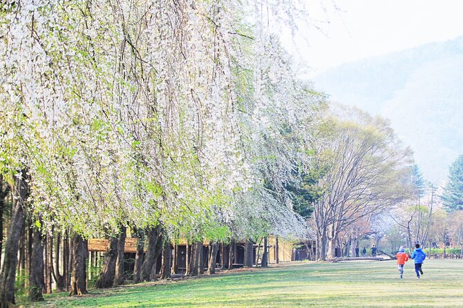 Private Tour to Alpaca world &Nami Island& Railbike with Tickets - Tickets included, add-ons optional: how the value really works