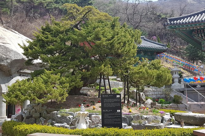 Private Trip to Seongmo Island(Temple) and North Korea Observatory+Kimchi Lesson - Kimchi Making + Hanbok Photo Moments: Fun Korean Culture You Can Leave With
