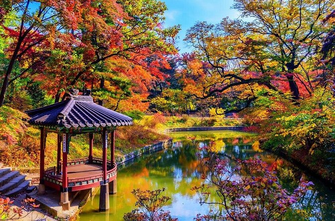 Private Unesco Tour in Seoul with Guide - How the Guide Makes or Breaks the Day
