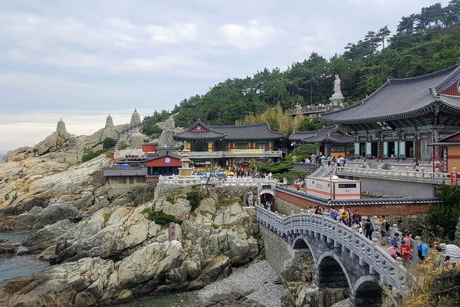 Real Busan Walking Experience - Jagalchi Market: seafood market energy and what to do with your appetite