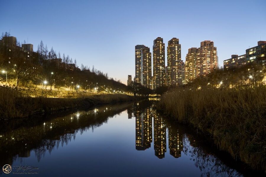 Seoul: 4-Hour Gangnam Walking Tour With Customized Itinerary - Your Private Guide Meets You, Then Builds a Route Around Your Must-Sees