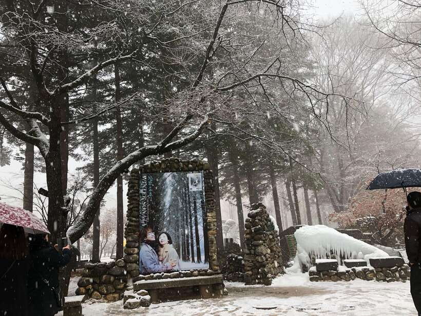 Seoul: Alpaca, Nami, Morning Calm or Eobi (+Rail Bike) - Nami Island: Winter Sonata Trails, Riverside Walking, and Photo Spots