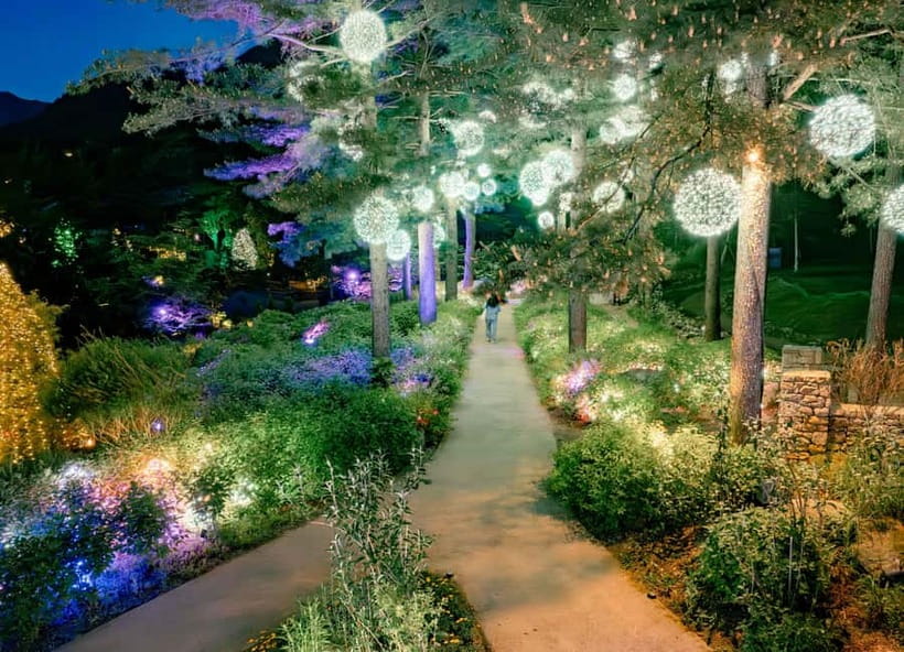 Seoul: Alpaca World and Nami Island (with Garden / Railbike) - Key highlights you will feel fast