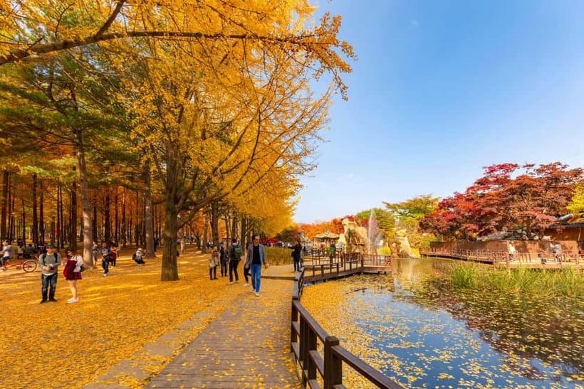 Seoul: Alpaca World & Nami Island (+Gangchon Railbike) - Price and Value: Why $57 Can Make Sense for a Day Like This