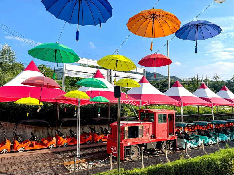 Seoul: Alpaca World & Nami Island optional Gangchon Railbike - Guides Make or Break the Day, and You Have Real Support