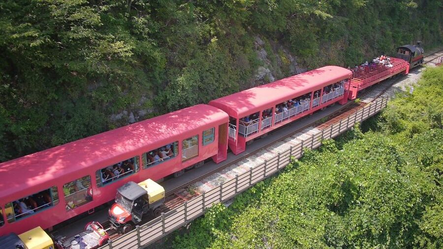 Seoul: Alpaca World & Nami Island optional Gangchon Railbike - Who This Trip Suits Best, and Who Should Skip It
