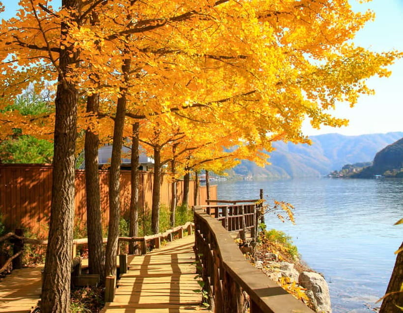 Seoul: Alpaca World & Nami Island optional Gangchon Railbike - Nami Island: Tree-Lined Avenues, Art Stops, and Drama-Style Photo Energy