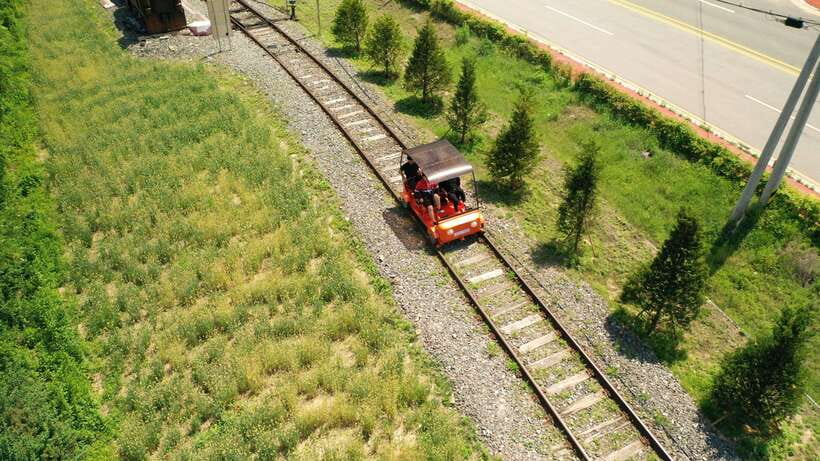 Seoul: Alpaca World, Railbike & Vivaldi Park Experience Tour - Who this tour fits best, and who should reconsider