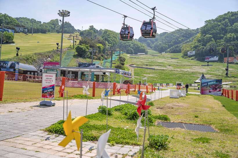 Seoul: Alpaca World, Railbike & Vivaldi Park Experience Tour - A Seoul day trip built around animals and movement