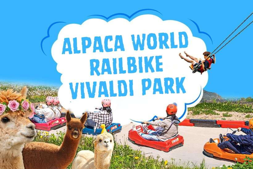Seoul: Alpaca World, Railbike & Vivaldi Park Experience Tour - Alpaca World in Gangwon-do: feeding tips, steep bits, and why it feels special