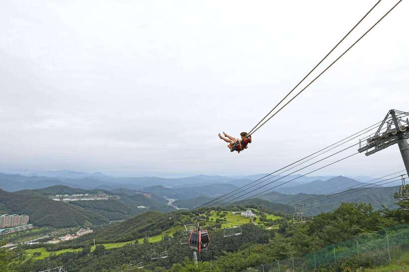 Seoul: Alpaca World, Railbike & Vivaldi Park Experience Tour - Timing and weather: what to wear for a cold-spring day outdoors