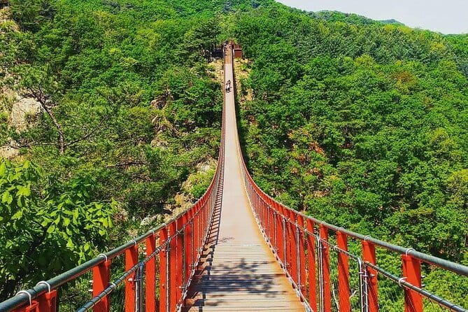 Seoul and Suburbs Private Customized Tour - A 10-hour private car that turns your Seoul day into your plan