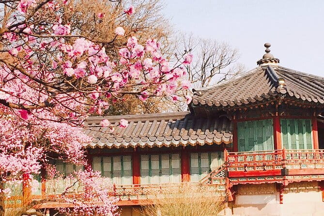 Seoul and Suburbs Private Customized Tour - Price and value: $244.76 per group can be a steal or a stretch