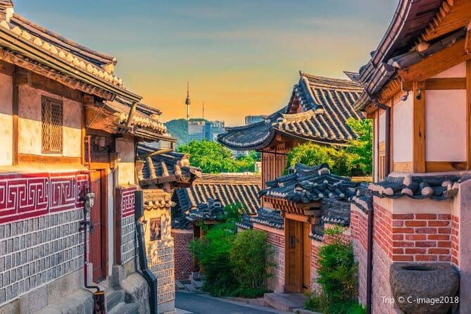 Seoul and Suburbs Private Customized Tour - Nami Island: artful paths and an easy half-day rhythm