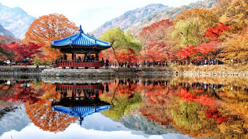 Seoul: Autumn Foliage - Mt. Naejang + Jeonju Hanok Village - Key highlights you will actually feel
