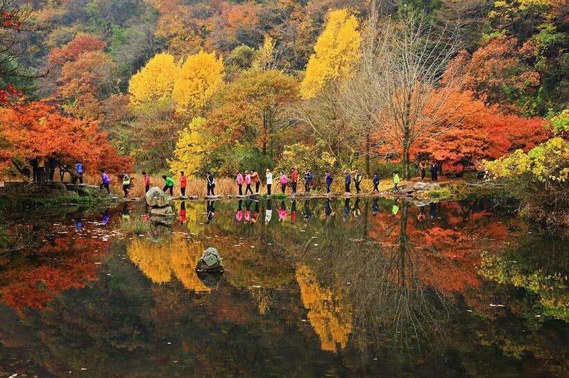Seoul: Autumn Foliage - Mt. Naejang + Jeonju Hanok Village - Mt. Naejangsan in autumn, when the colors show up later
