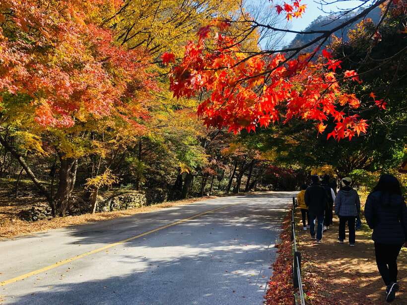 Seoul: Autumn Foliage - Mt. Naejang + Jeonju Hanok Village - Jeonju Hanok Village: old-house streets you can walk for hours