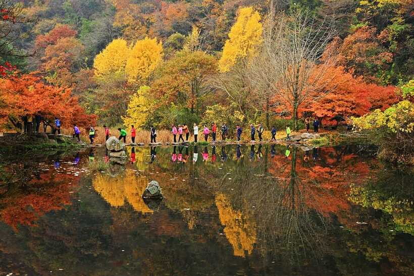 Seoul: Autumn Foliage - Mt. Naejang + Jeonju Hanok Village - Price and value around $61 per person